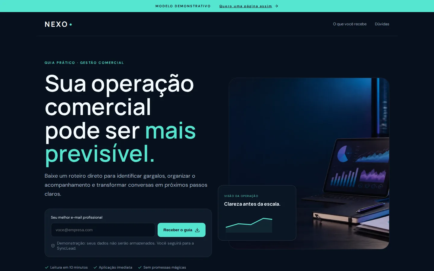 Página de captura demonstrativa Nexo B2B